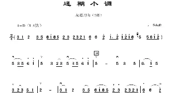 二胡谱 | 迷糊小调  韦芳 编曲