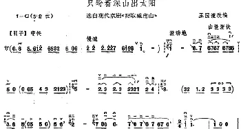 二胡谱 | 只盼着深山出太阳(选自现代京剧《智取威虎山》)王国潼改编