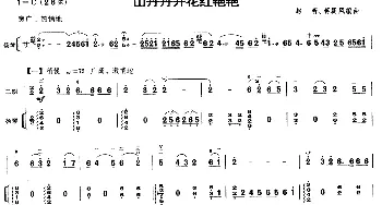 二胡谱 | 山丹丹开花红艳艳