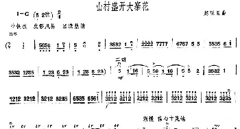 二胡谱 | 山村盛开大寨花  赵砚臣