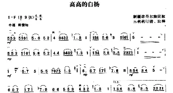 二胡谱 | 高高的白杨  维吾尔民歌 王莉莉订谱