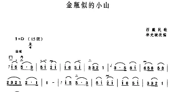 二胡谱 | 金瓶似的小山  藏族民歌 林光璇改编