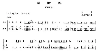 二胡谱 | 昭君怨(扬琴伴奏谱)古曲 刘月宁配伴奏