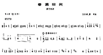 春满田间(高音板胡)