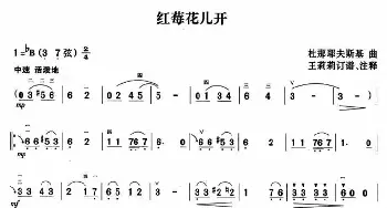 二胡谱 | 红莓花儿开