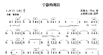 二胡谱 | 宁静的湖泊  埃里克.科茨