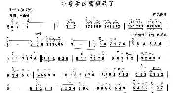 二胡谱 | 吐鲁番的葡萄熟了  施光南