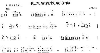 二胡谱 | 长大后我就成了你  苏栋人