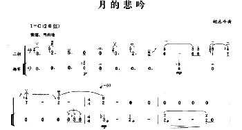 二胡谱 | 月的悲吟(扬琴伴奏谱)胡志平