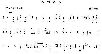 琵琶谱 | 煞的练习  林石城