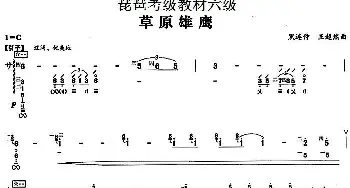 琵琶谱 | 草原雄鹰 琵琶考级教材六级  黑连仲 王超然