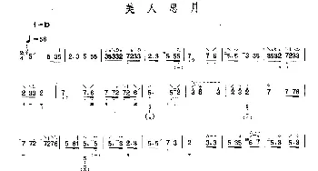 琵琶谱 | 美人思月