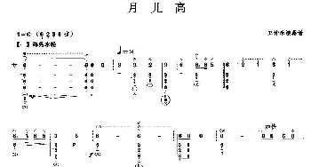 琵琶谱 | 月儿高