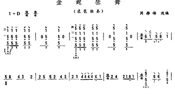 琵琶谱 | 金蛇狂舞(周静梅改编版)周静梅改编