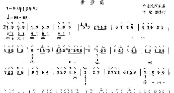 琵琶谱 | 步步高  广东民乐 叶绪然编订