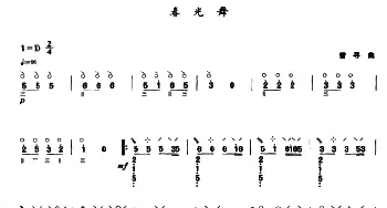 琵琶谱 | 春光舞  曾寻