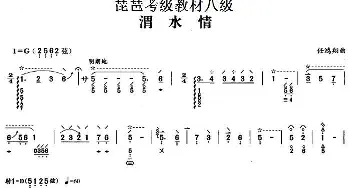 琵琶谱 | 渭水情 琵琶考级教材八级  任鸿翔