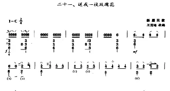 琵琶谱 | 送我一枝玫瑰花  新疆民歌 王范地改编