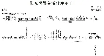 扬琴谱 | 阳光照耀着塔什库尔干