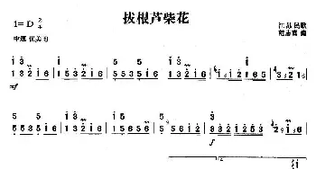 扬琴谱 | 拔根芦柴花