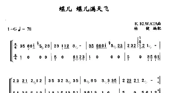 扬琴谱 | 蝶儿 蝶儿满天飞  杨健