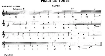 口琴谱 | PRACTICE TUNES(布鲁斯入门初级乐曲2首 五线谱)