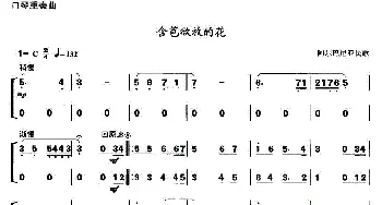 口琴谱 | 含苞欲放的花(重奏)