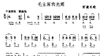 口琴谱 | 毛主席的光辉