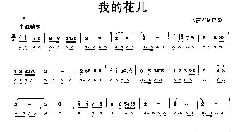 口琴谱 | 我的花儿