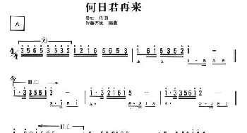 口琴谱 | 何日君再來