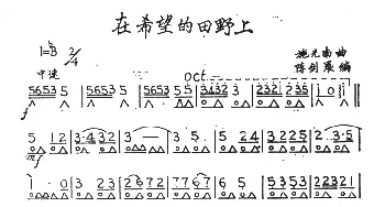 口琴谱 | 在希望的田野上  施光南曲 陈剑晨