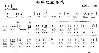 口琴谱 | 含苞欲放的花(带歌词版)