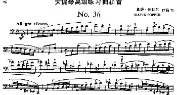 大提琴高级练习曲40首 No.36  戴维·波帕尔