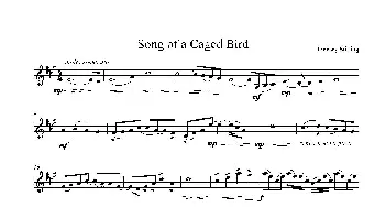 小提琴谱 | Song of a Caged Bird  Lindsey Stirling