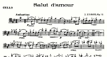 Salut d'amour(爱的礼赞)(大提琴)