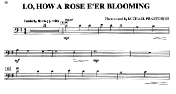LO,HOW A ROSE E'ER BLOOMING(大提琴分谱)