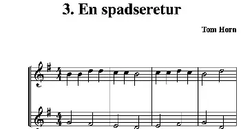 小提琴谱 | En spadseretur(二重奏)Tom Horn(霍恩·汤姆）