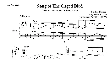 小提琴谱 | Song of a Caged Bird(小提琴+钢琴伴奏)Lindsey Stirling