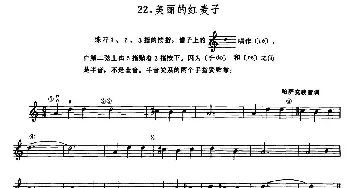 小提琴谱 | 学琴之路练习曲28 美丽的红麦子