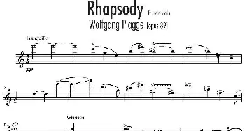 小提琴谱 | Rhapsody(狂想曲)Wolfgang Plagge