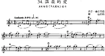 小提琴谱 | 温柔的爱(美国电影《手足情仇》插曲)乔吉·普尔登曲 雄达改编