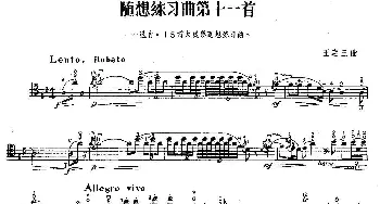 随想练习曲第十一首(大提琴)王连四