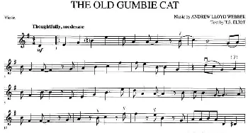 小提琴谱 | THE OLD GUMBIE CAT(老刚比猫)