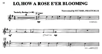 小提琴谱 | LO,HOW A ROSE E'ER BLOOMING(小提琴分谱)