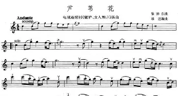 小提琴谱 | 芦苇花(电视剧《辘轳 女人和井》插曲)徐沛东
