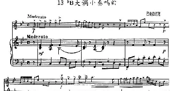 小提琴谱 | 降B大调小奏鸣曲(小提琴+钢琴伴奏)巴克拉诺娃