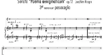 小提琴谱 | Sonata Poema aenigmaticum(小提琴+钢琴伴奏 3rd movement)Joachim Knoph