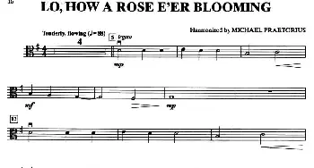LO,HOW A ROSE E'ER BLOOMING(中提琴分谱)
