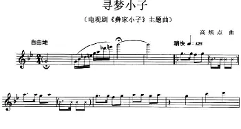 小提琴谱 | 寻梦小子(电视剧《彝家小子》主题曲)高炳点