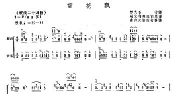 雪花飘(古筝椰胡合奏)